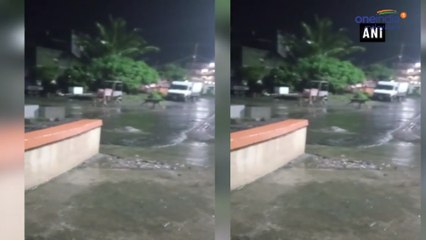 7 Lions Found Roaming In Gujarat's Junagadh, Video Is Viral