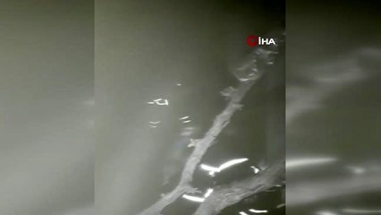 Samandağ'daki yangında ev kullanılamaz hale geldi