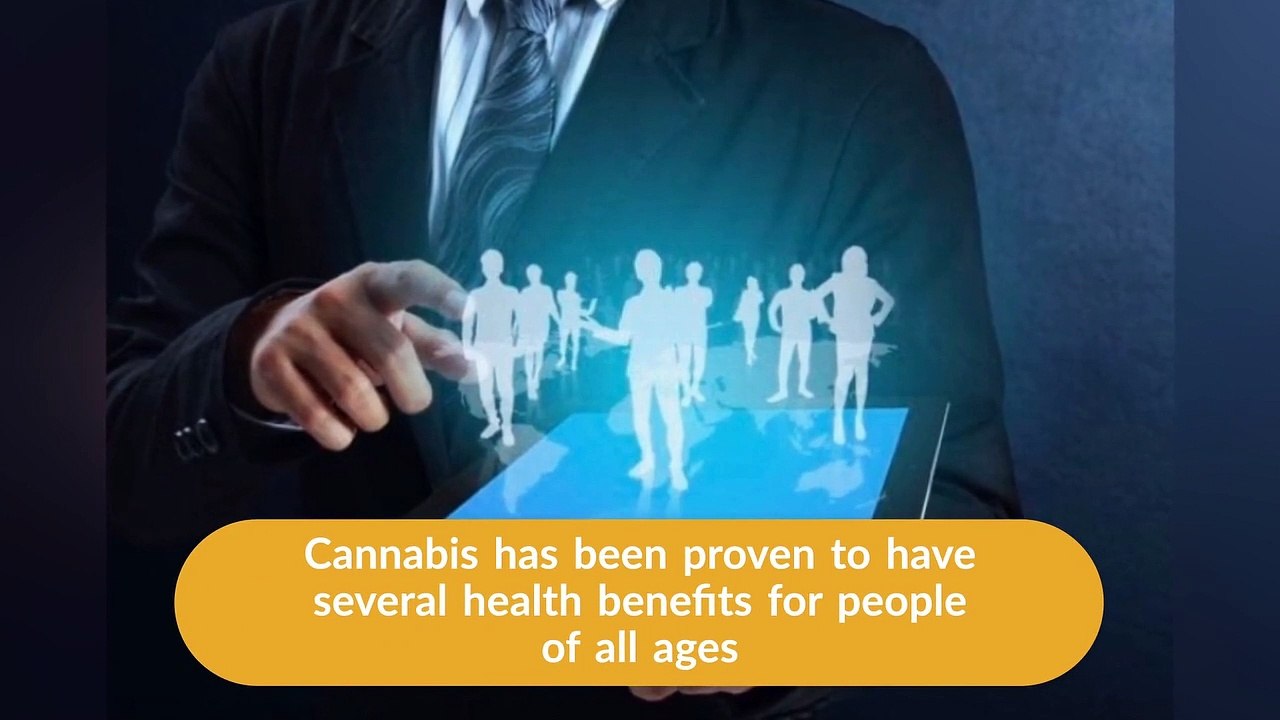 CannaBiz Offers Expert Collection Solutions for Businesses - CannaBIZ Collects