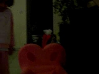 25.01.08 (23) qui crie le + fort