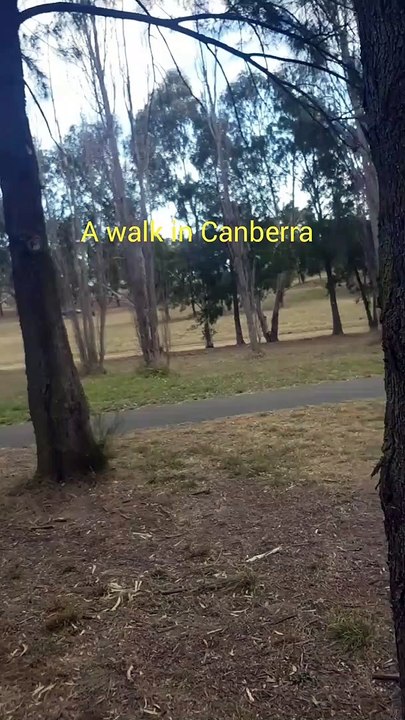 A walk in Canberra, Australia