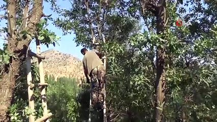 Köylüler birlikte çalışarak kışa hazırlanıyor