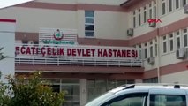 Kocaeli ava gitti, arıların saldırısına uğradı