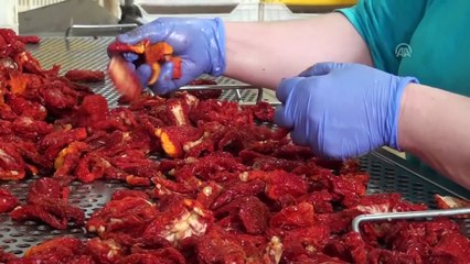 İtalyan lezzetlerine Türk domatesi - İZMİR