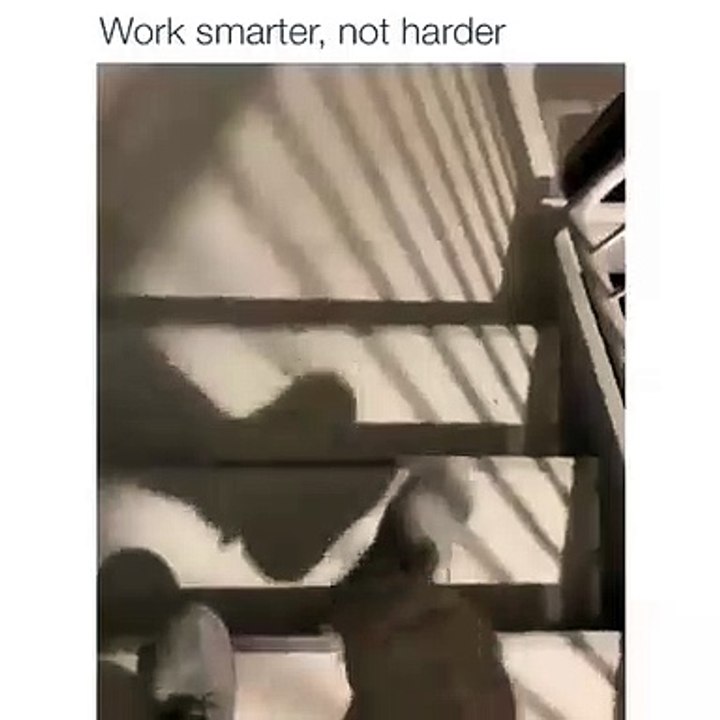 Oddly impressive