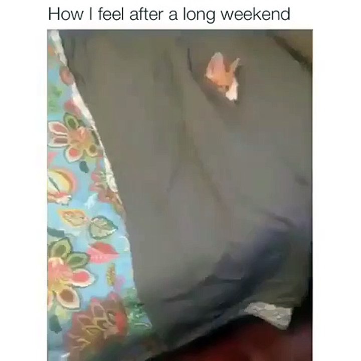 I’ll just stay in bed thank you