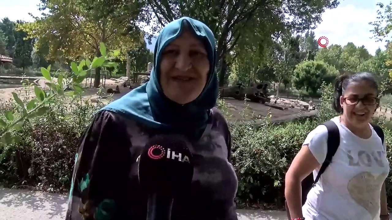 Zürafaların Keyifli Oyunları Objektiflere Yansıdı, Hayvanat Bahçesi Havadan Görüntülendi