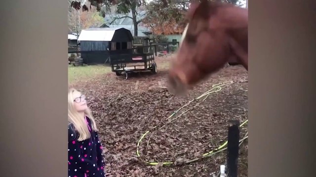 Funniest moment between babies and animals| Funny Babies and Pets