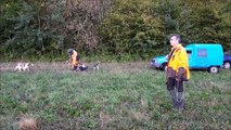 Début de la traque avec l'ACCA de Villotte-devant-Louppy le jour de l'ouverture générale de la chasse en Meuse