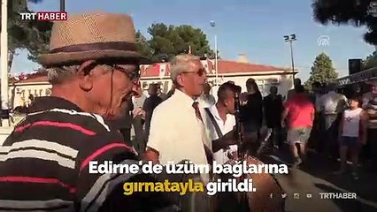 Edirne'de üzüm bağlarına gırnatayla girildi