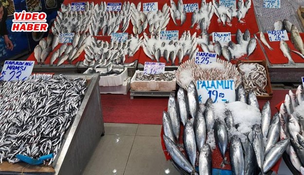 (15 Eylül 2019)BALIK SEZONU AÇILDI TEZGÂHLAR HAMSİYLE ŞENLENDİ