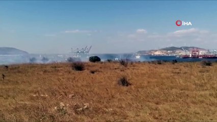 Aliağa'da yangın: 20 dönüm alan zarar gördü