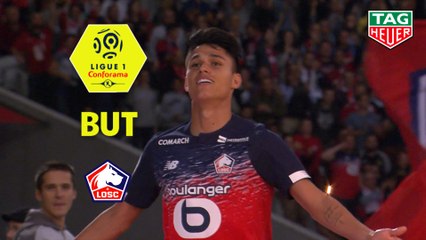 But Luiz ARAUJO (53ème) / LOSC - Angers SCO - (2-1) - (LOSC-SCO) / 2019-20