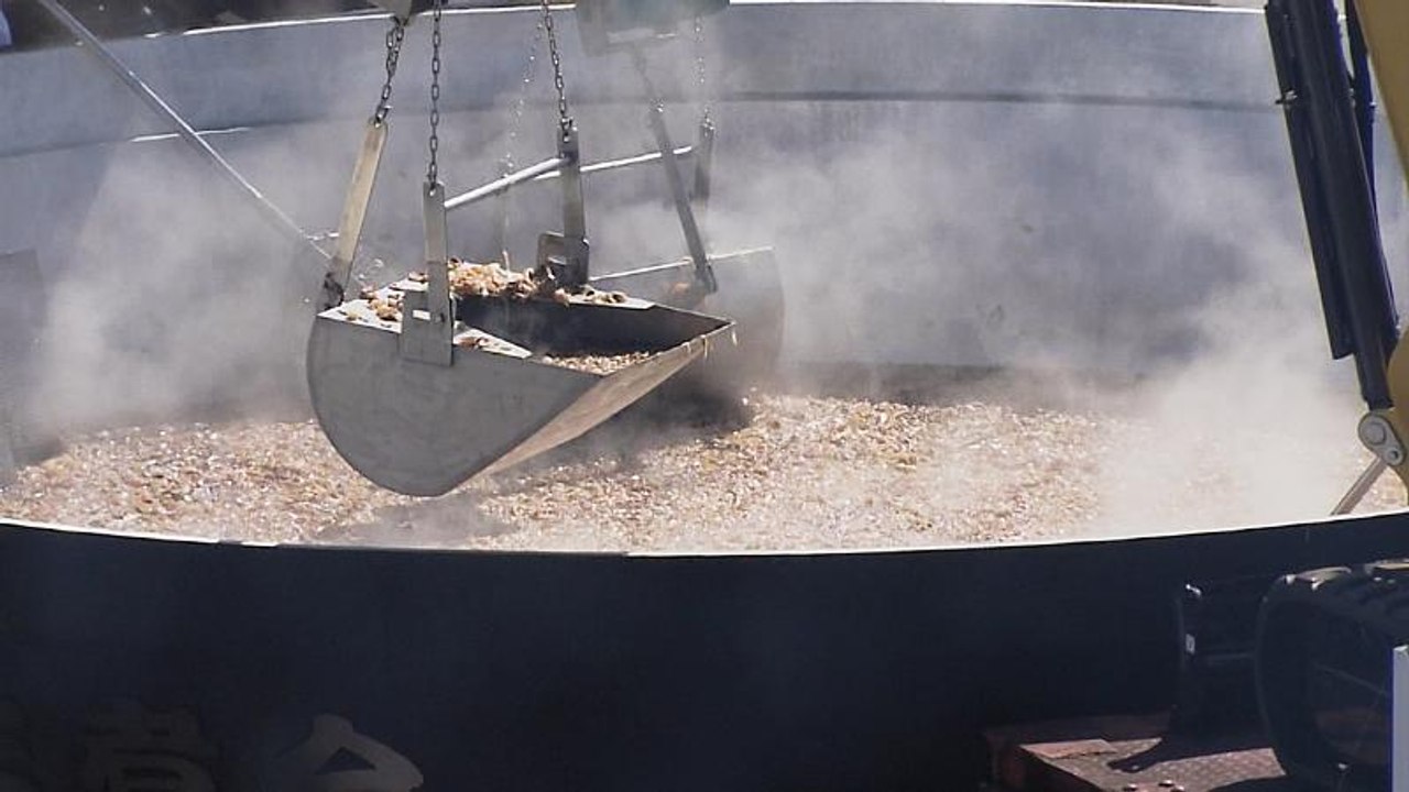 芋煮会 süßkartoffelparty