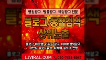 부동산블로그제작〖LJVIRAL.COM〗리뷰마케팅