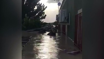 Rescata a un perro metiéndose en el agua en Ribera del Molina