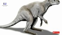 For millions of years, eastern Australia was home to 2,200-pound marsupials with giant claws