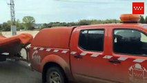 Bomberos rescatan a dos perros de las riadas de Arganda del Rey