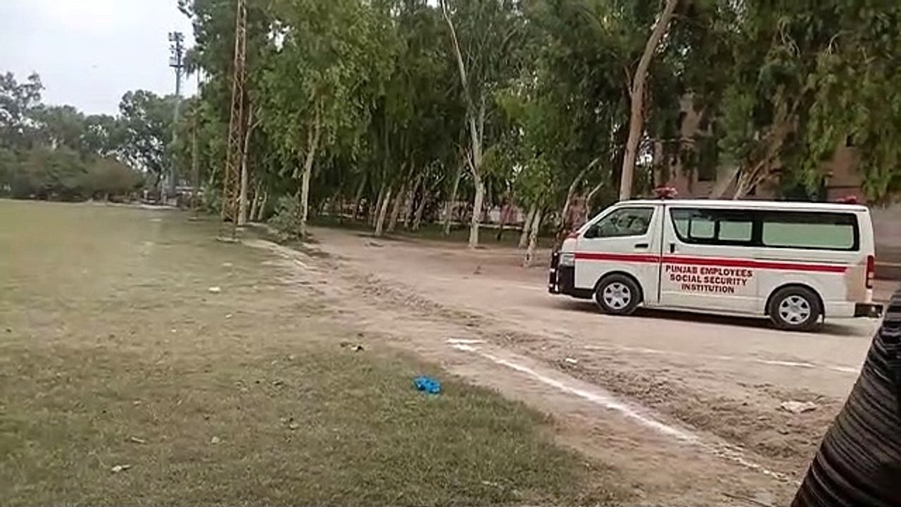 Visit of green grassy Ground