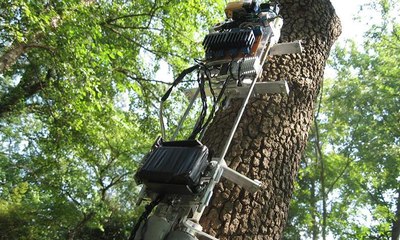 جهاز آلي لتقليم الأشجار... لن تضطروا لتسلقها بعد اليوم