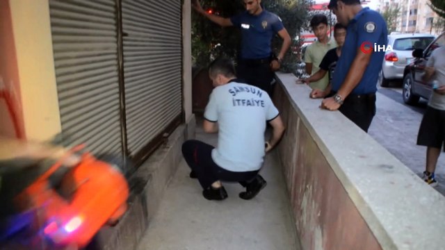 Yaralı yavru kedi için polis ve itfaiye seferber oldu