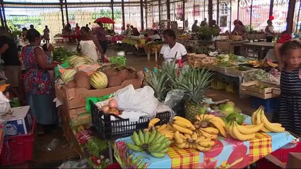 Martinique : 40% des sols contaminés par le chlordécone, un insecticide probablement cancérigène