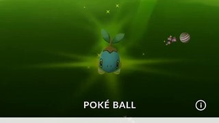 SHINY TURTWIG IV 100 MAX CP 1102 LIV35 EVOLVE GROTLE 1755 AND LIVE