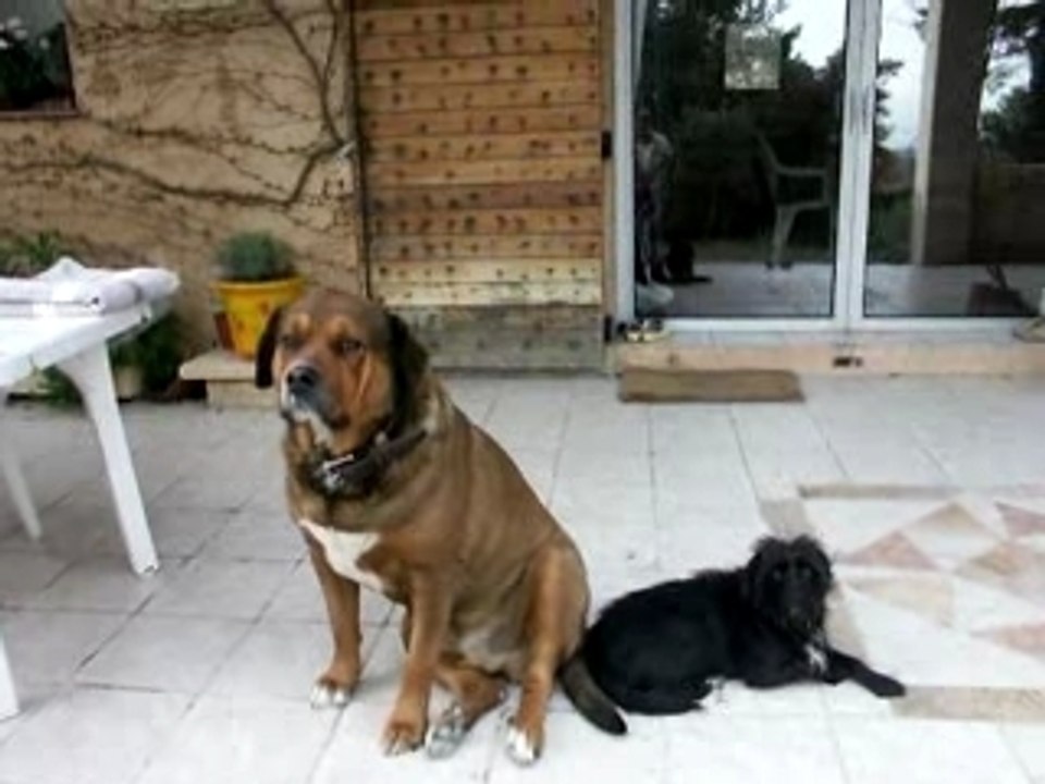 4 février 2008 vidéo 002