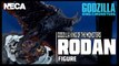 NECA Toys Godzilla King of the Monsters Rodan Figure Review