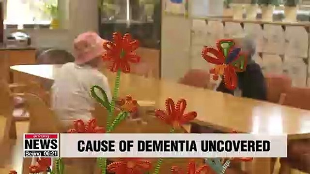 Variation in dementia-causing gene makes East Asians more susceptible to dementia