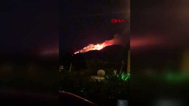 Muğla'nın bodrum ilçesinde makilik alanda yangın çıktı - 2
