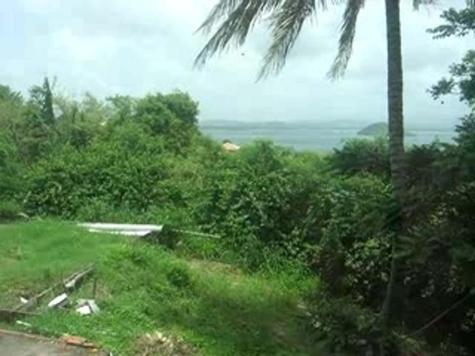 Avant le cyclone