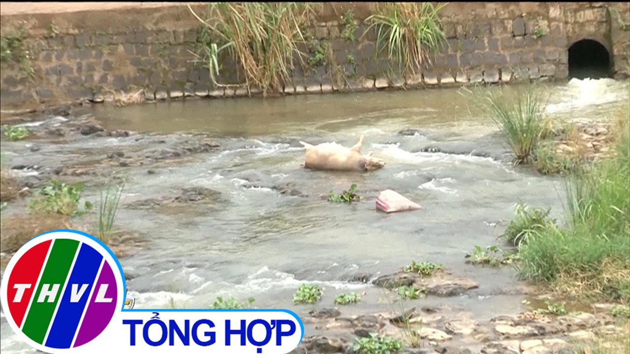 THVL | Nan giải việc xử lý sông suối ô nhiễm vì rác thải