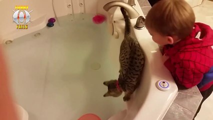 Funniest Moment When Cat Scared (2019) Funny Cat Video
