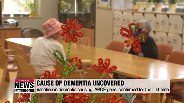 Variation in dementia-causing gene makes East Asians more susceptible to dementia