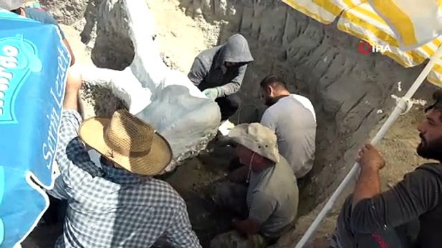 7,5 milyon yıllık fosil, özel yöntemle Bilim Merkezi'ne taşındı