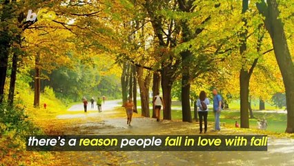 This is Why You’re So Obsessed With Fall
