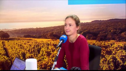 Les journées de l'architecture - Die Architekturtage