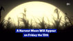 A Rare Harvest Moon Is Coming
