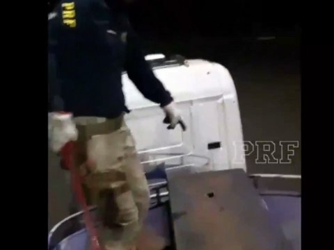 PRF apreende mais de 1 tonelada de maconha em caminhão-tanque no Paraná