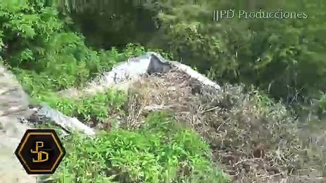 top mysterious creatures caught on camera