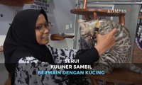 Seru! Kulineran Sambil Bermain dengan Kucing