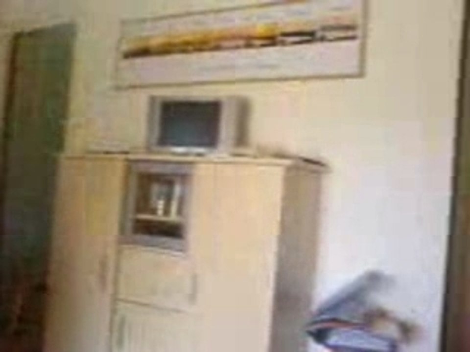 En Corse, chaque jour est différent