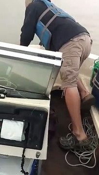 Ces pêcheurs sauvent un cerfs de la noyade !