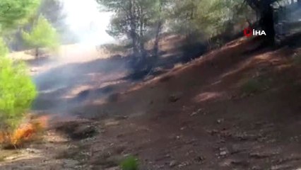 Buldan'da 2,5 hektarlık ormanlık alan yandı