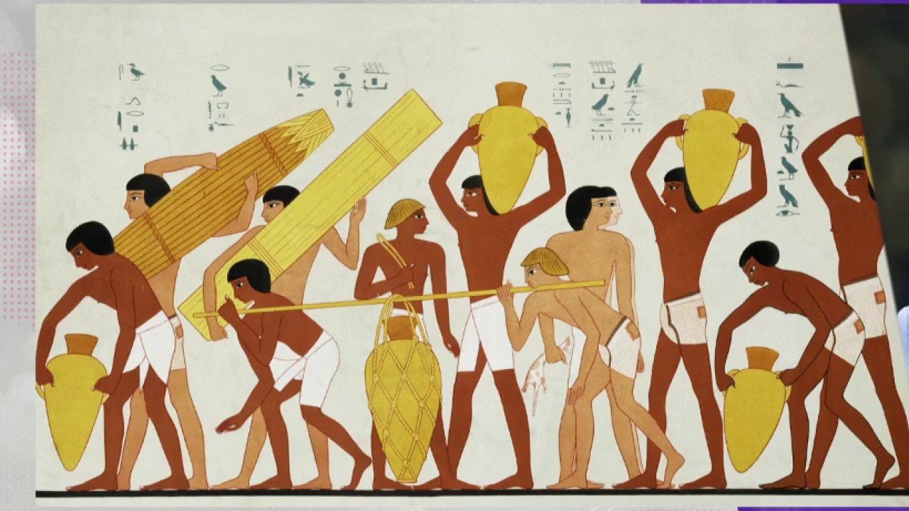 Histoire histoires - La vigne dans tous ses états