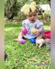 Funny Baby Playing with Animals - Funny Pet Videos