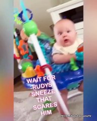 Cutest Babies Playing With Dogs - Baby and Dog Video