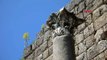 Antalya 5 antik kentin 5 antik bitkisi, koruma altına alınacak
