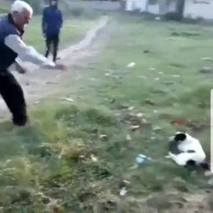İki çocuk, yerde yatan köpeğe taş atan adama engel olmak isterken taşların hedefi oldu